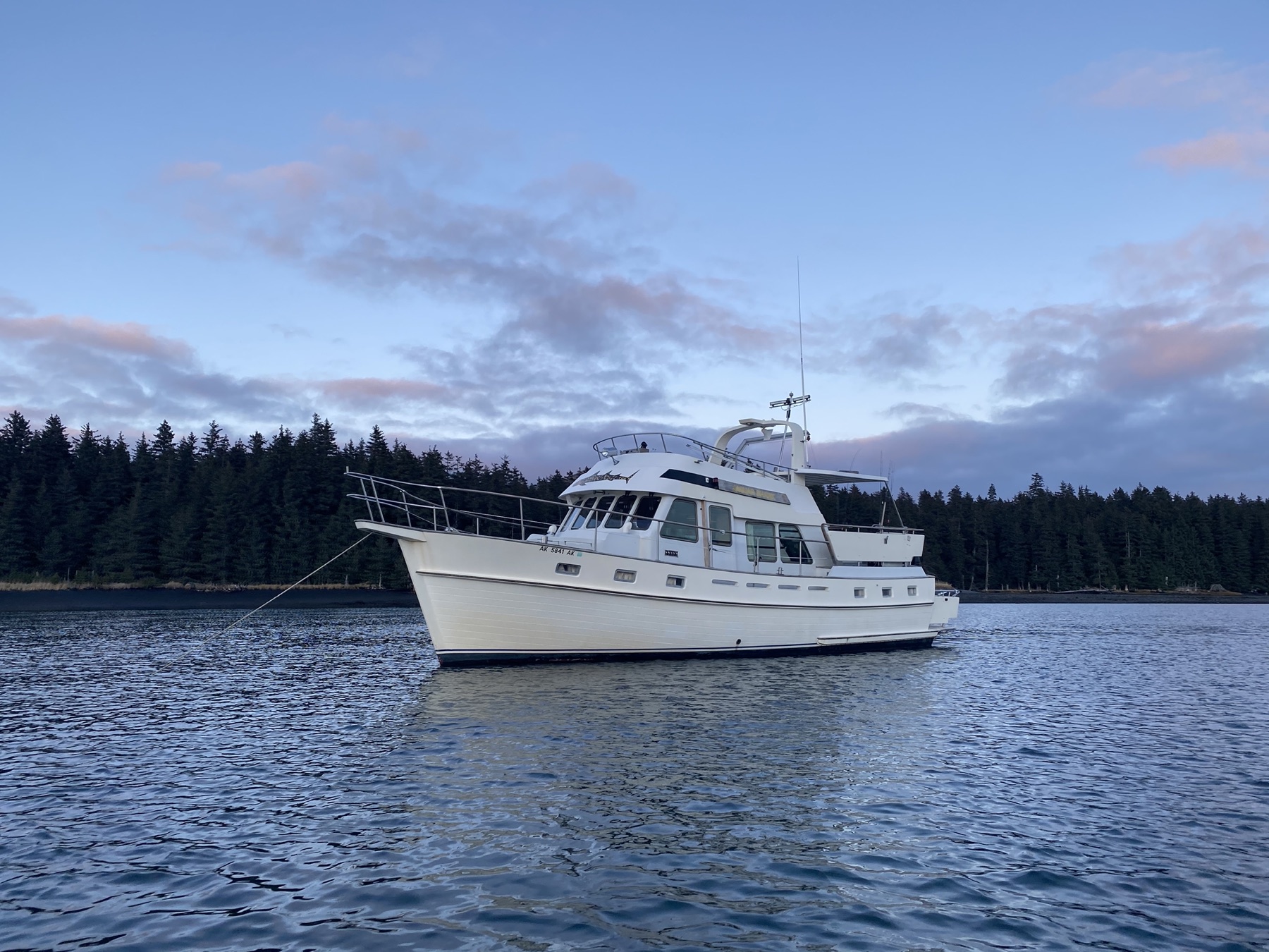 Jaguar Shark at anchor