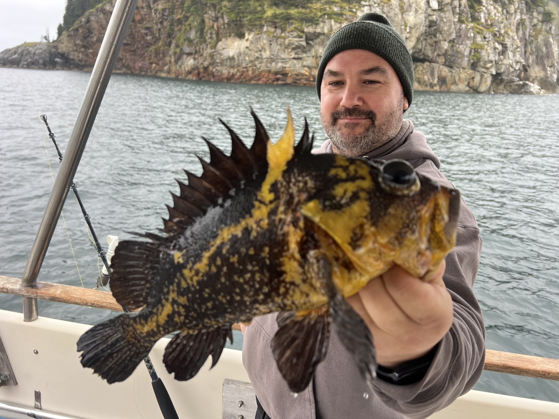 Rockfish catch