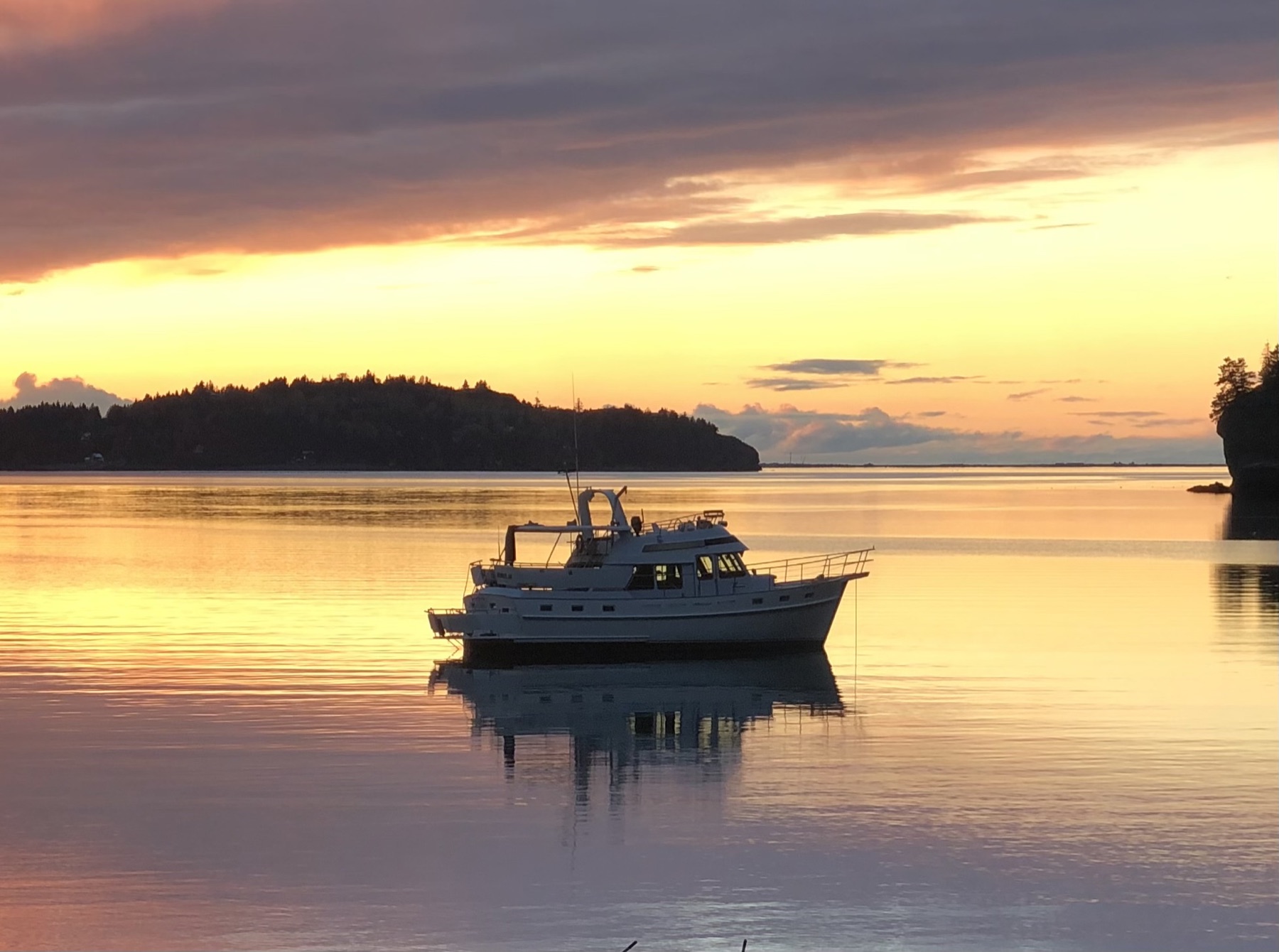 Jaguar Shark at sunset